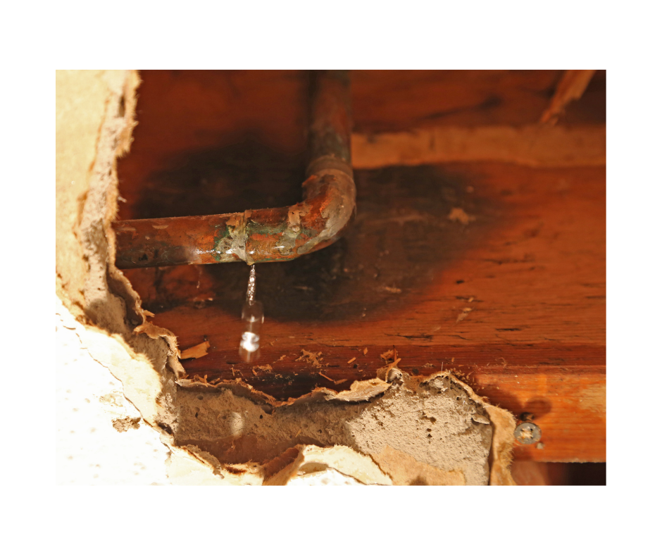 Homestead Restoration Co. team