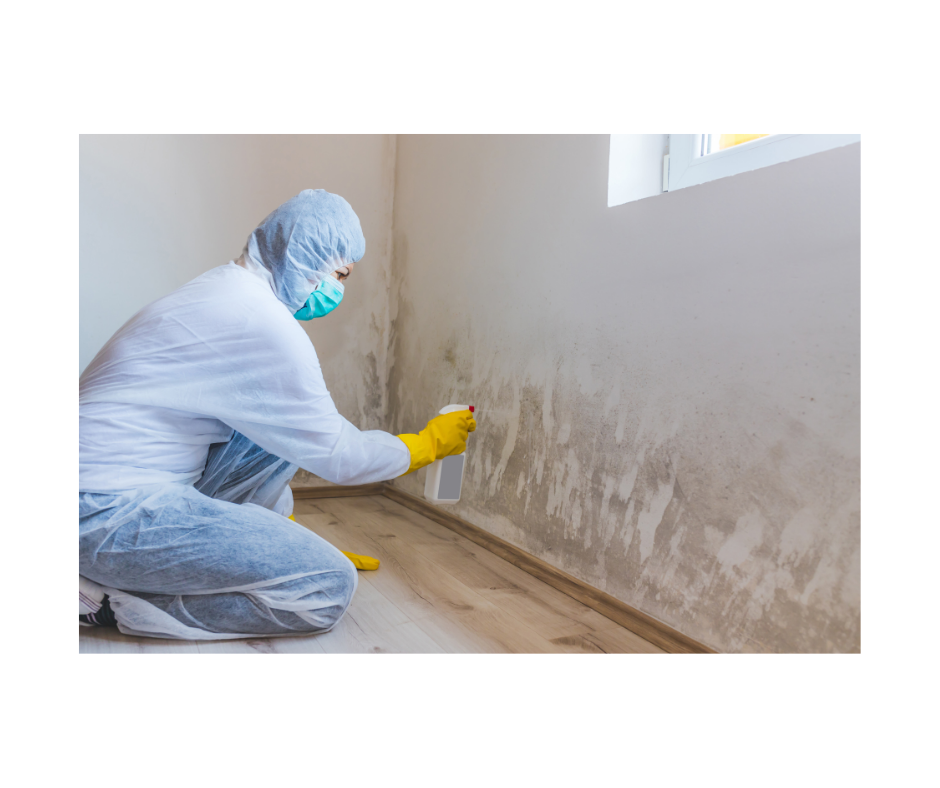 Mold remediation